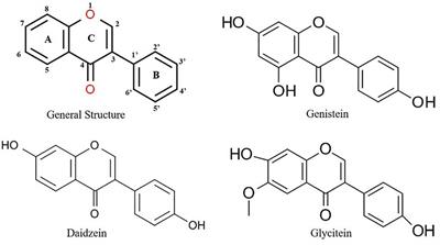 Metabolic Engineering of Isoflavones: An Updated Overview